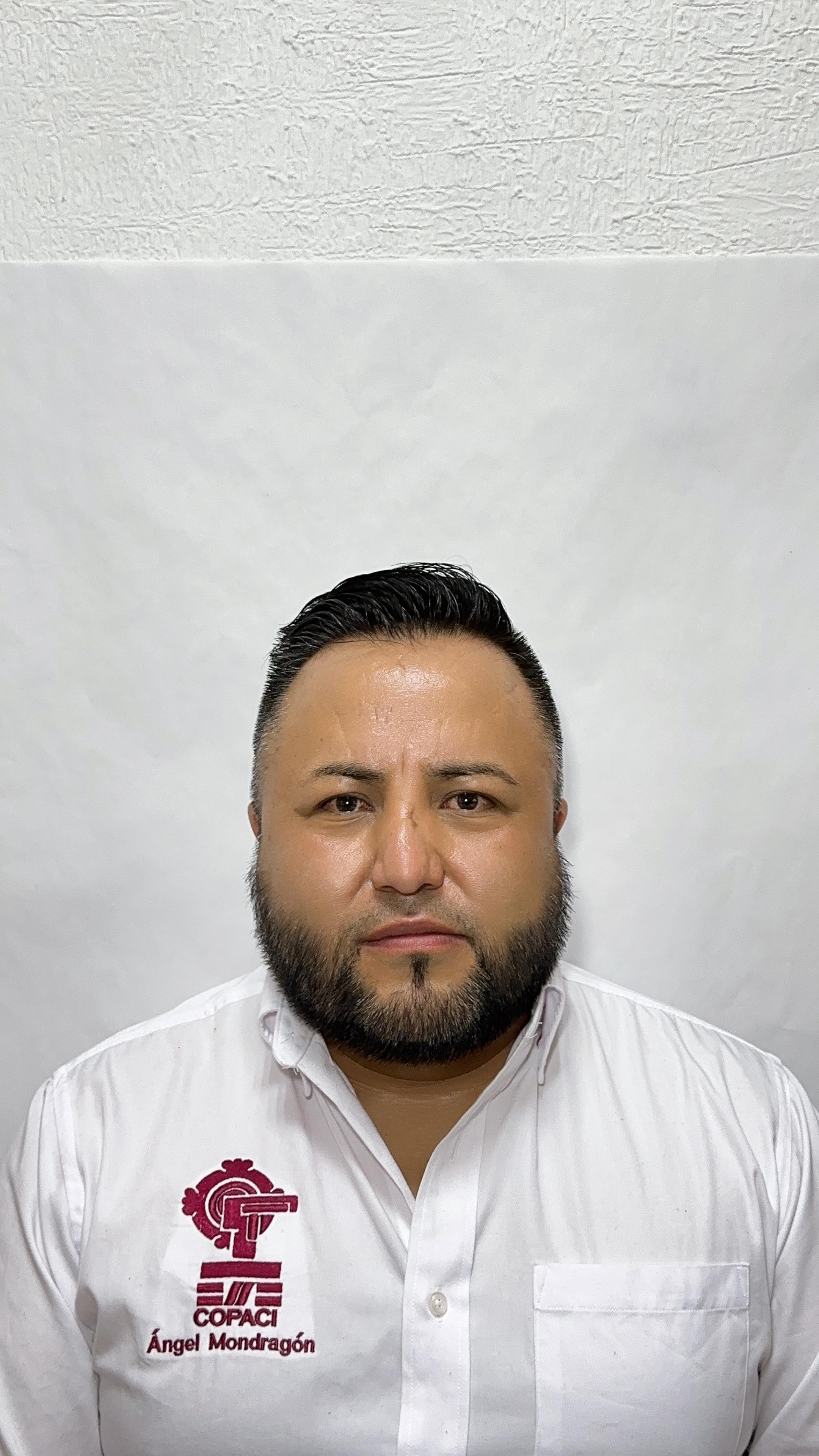 MONDRAGON L. LUIS ANGEL