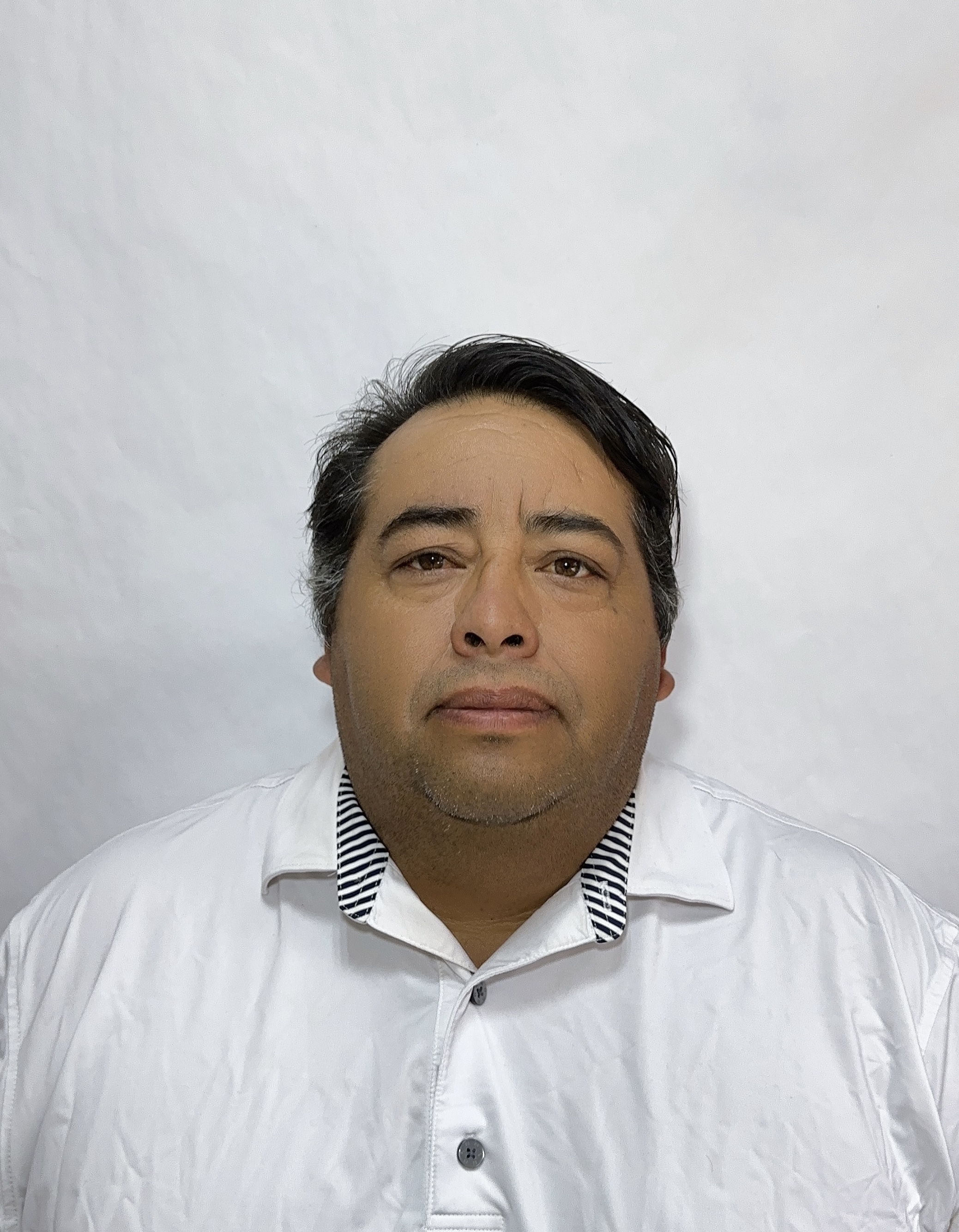 MEJIA MERLIN LUIS ANSELMO