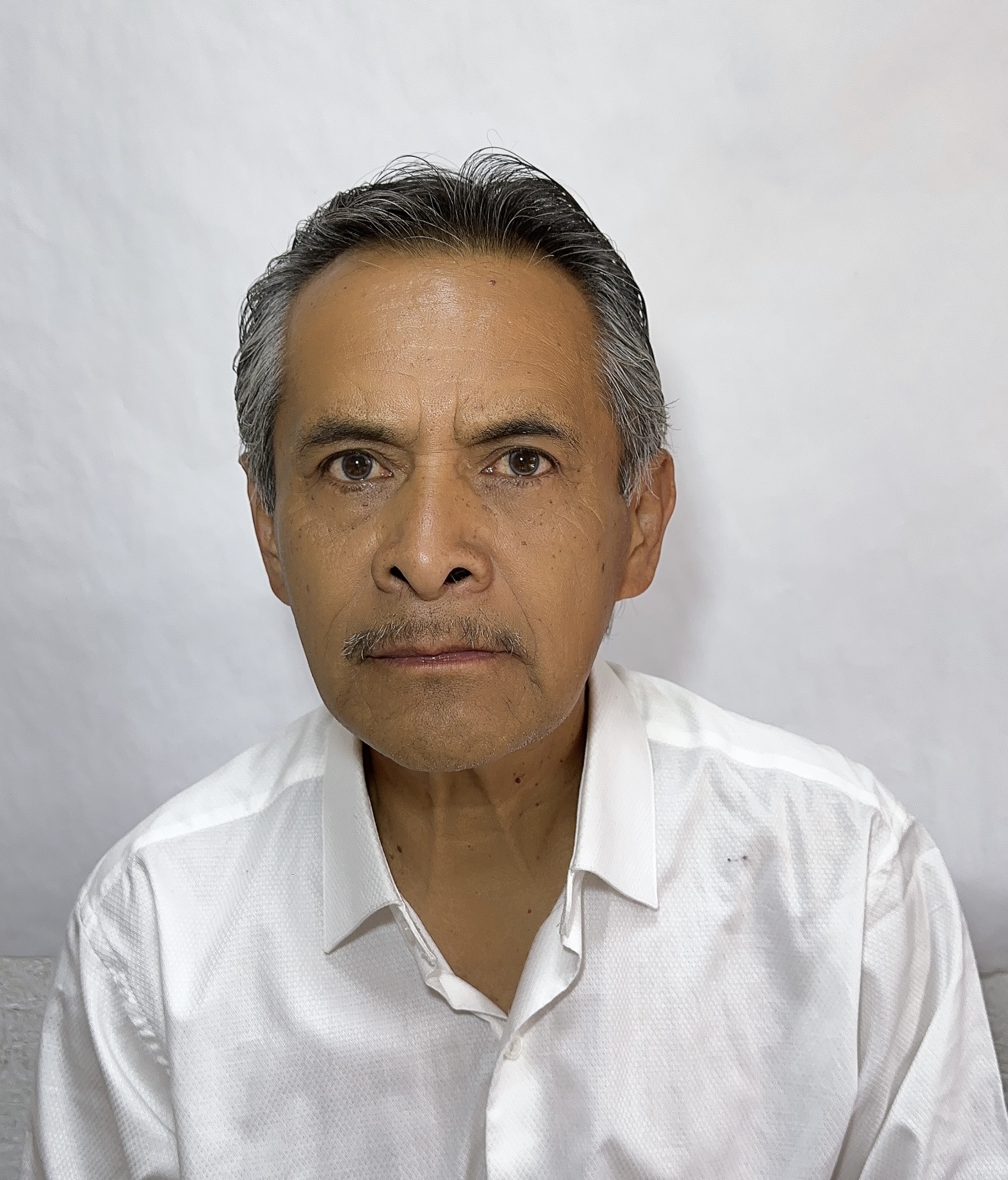 BASTIDA GONZAGA RODOLFO