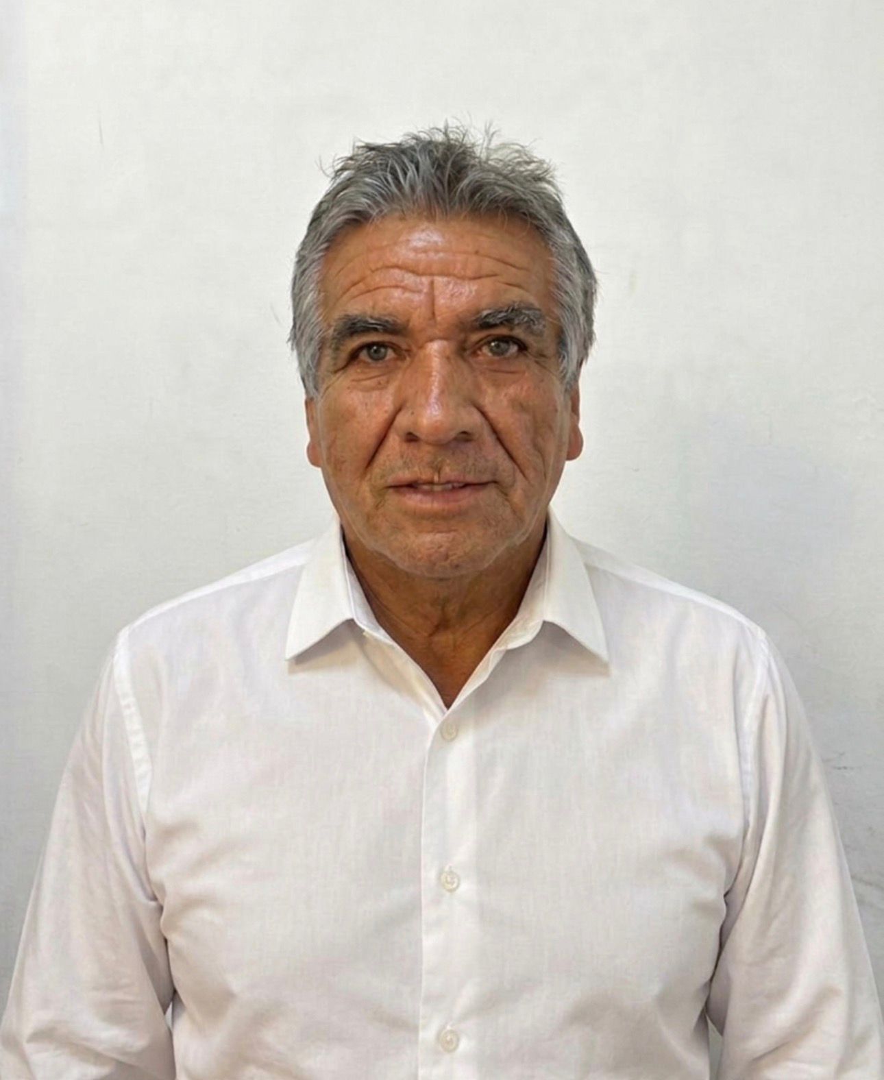 PICHARDO TORRES JOEL