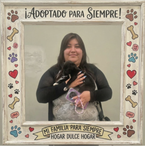 Promueven adopción responsable de mascotas en Valle de Chalco 