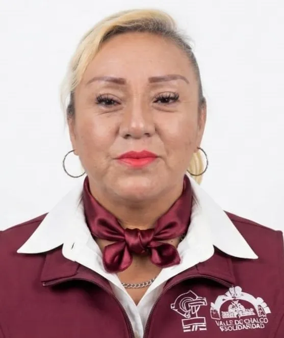 Verificador