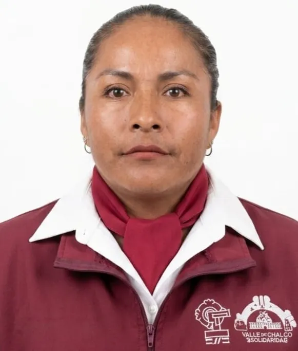 Verificador