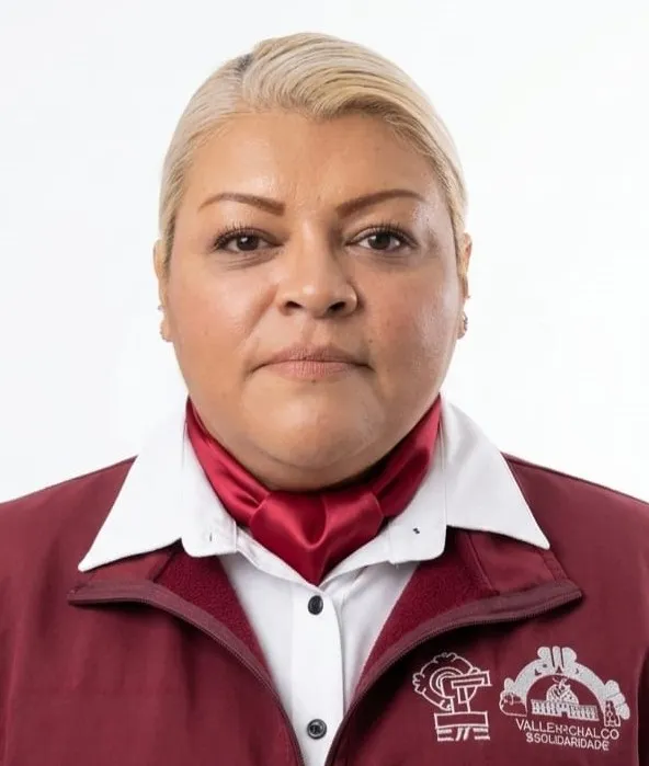 Verificador