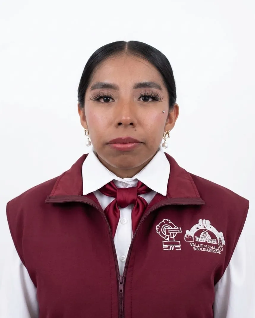 Verificador